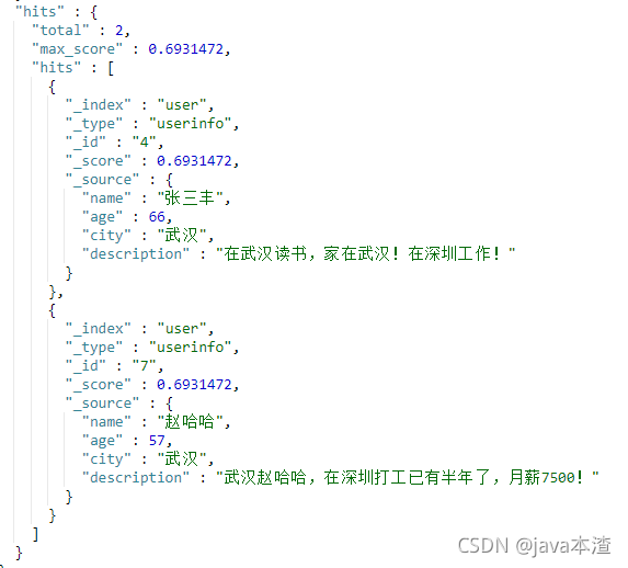 es检索word文件 elasticsearch word 全文检索_es检索word文件_25