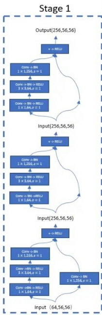 图片输入resnet模型后出现segmentation fault resnet中加入se_卷积_02