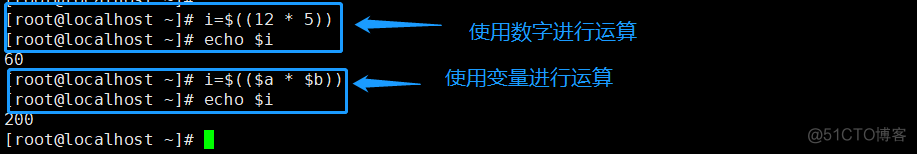 shell脚本通过容器化部署 shell脚本自动化_bash_24