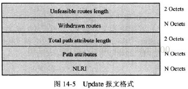 BGP引入ospf路由优先级怎么定义 bgp路由引入到ospf_字段_07