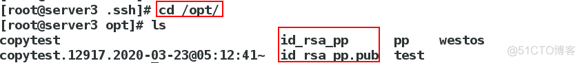 ansible 使用raw 模块修改密码是使用了特殊字符 ansible user模块_计划任务_40