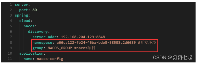 Nacos基于Namespace改变读取到不共享配置 nacos namespace group_开发语言_09