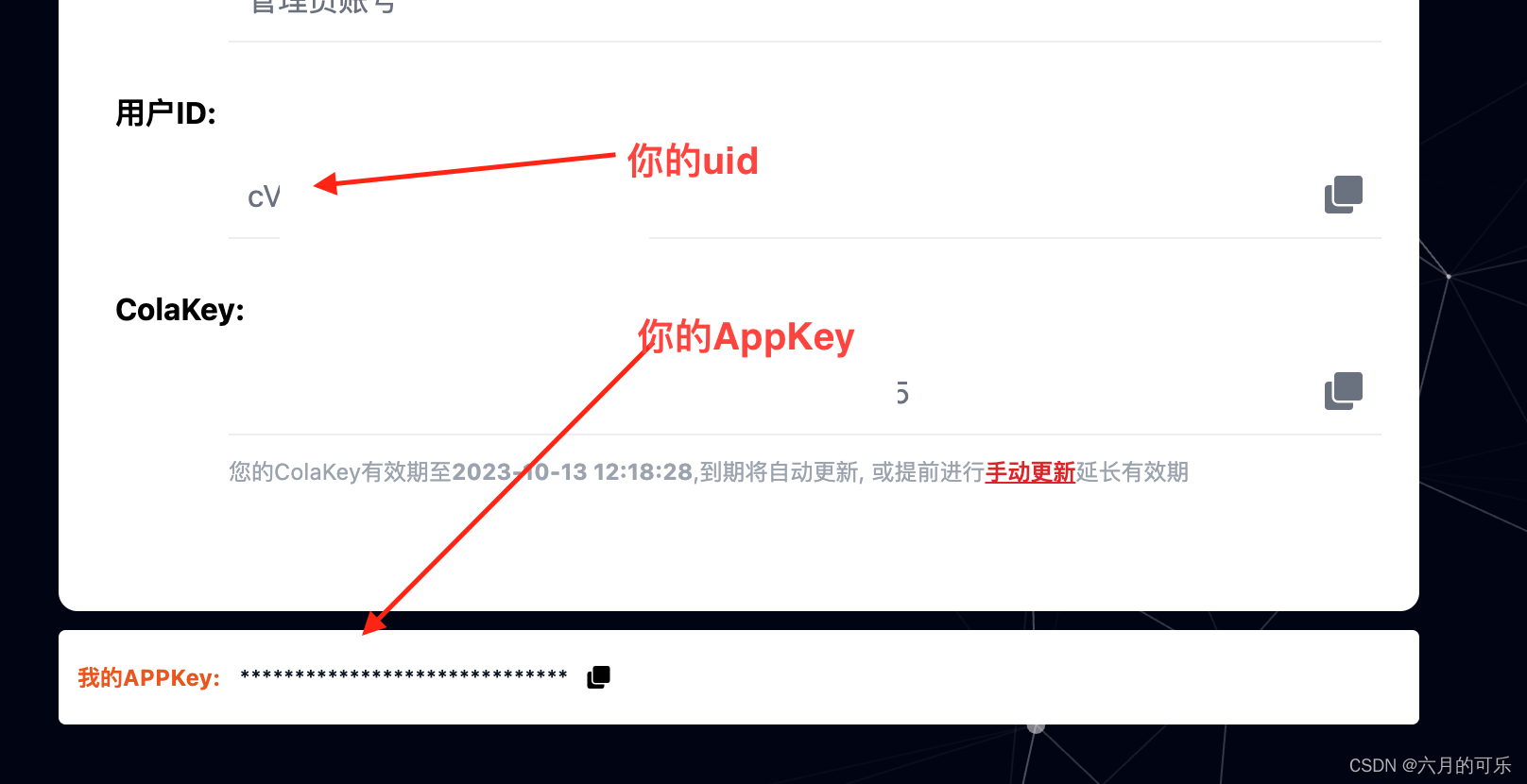 AI百度文心一言大语言模型接入使用（中国版ChatGPT)_文心一言_02