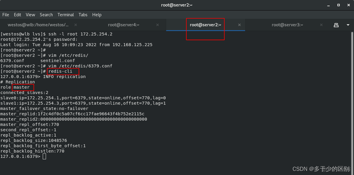 Redis EVAL 批量写入 redis批量写入到mysql_redis_42