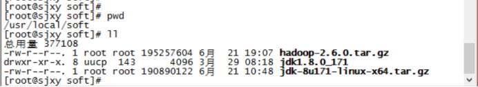 hadoop虚拟机与主机传输文件 虚拟机启动hadoop的命令_hadoop_05