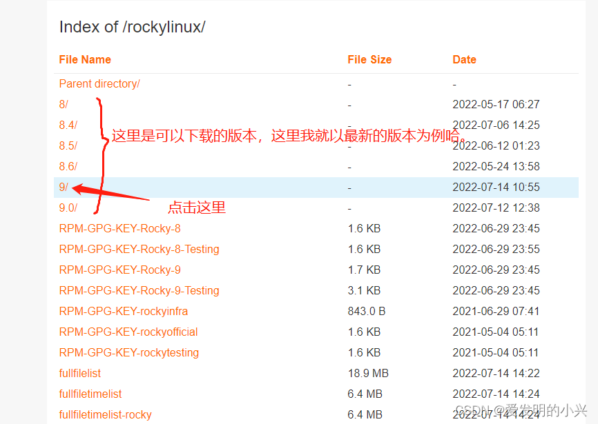 rockey linux设置国内镜像 rocky linux正式版,rockey linux设置国内镜像 rocky linux正式版_Red_08,第8张