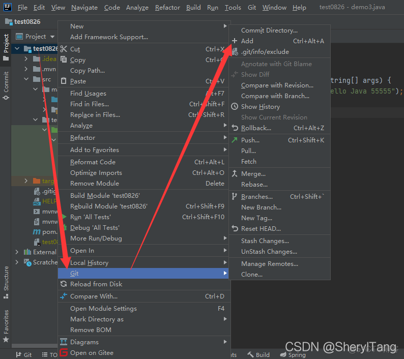 idea 配置gitlab 401 idea2020配置git_git_16