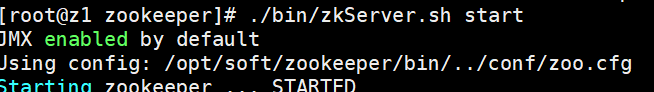 sprongboot zookeeper 集群 zookeeper集群架构_客户端_11