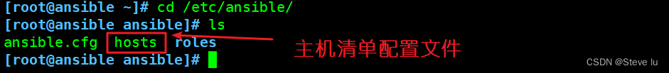 ansible输出主机名 ansible 主机列表_ansible输出主机名