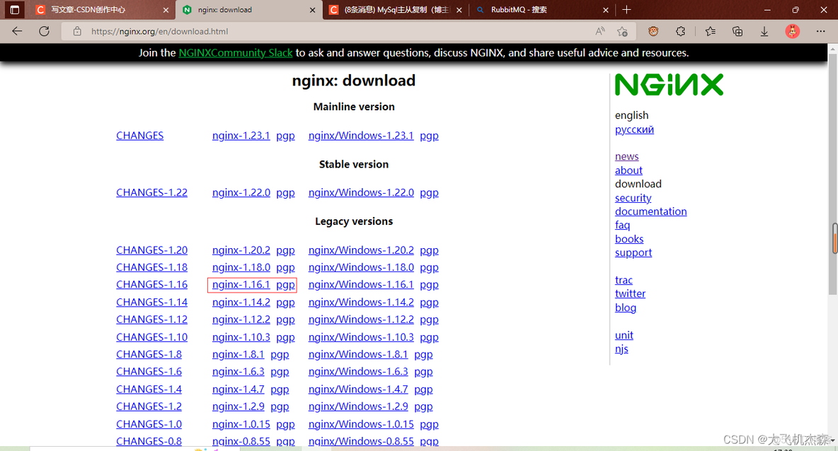 nginx 如何支持中文 nginx官网中文_代理服务器_02