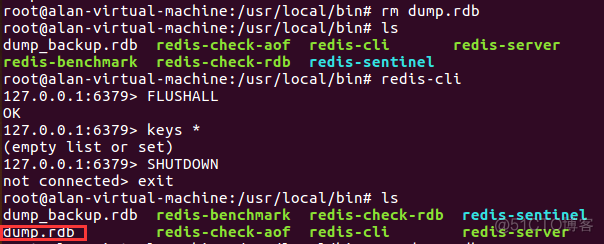 redis flushdb后aof和dump文件没有变小 redis的dump.rdb_AOF_02