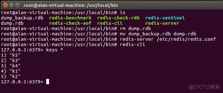 redis flushdb后aof和dump文件没有变小 redis的dump.rdb_数据_03