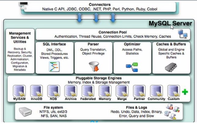 mysql逻辑模型定义 mysql的逻辑结构,mysql逻辑模型定义 mysql的逻辑结构_SQL,第1张