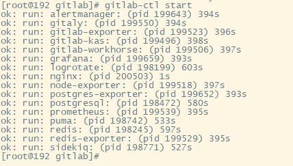 gitlab如何映射到外网 gitlab内网搭建_子域名_06