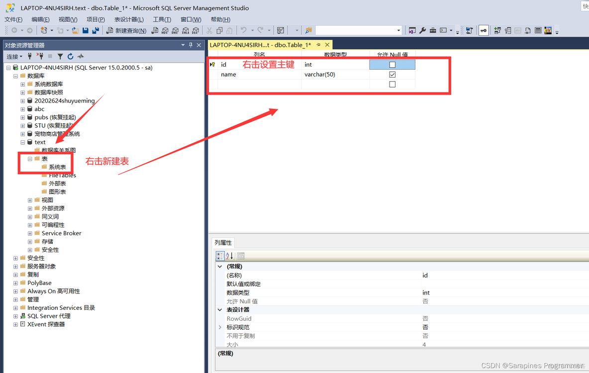 【SSMS快速上手】SQL巨擘：掌握SQL Server Management的终极秘籍！_数据库工具_05