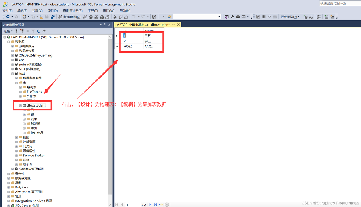 【SSMS快速上手】SQL巨擘：掌握SQL Server Management的终极秘籍！_数据库工具_08