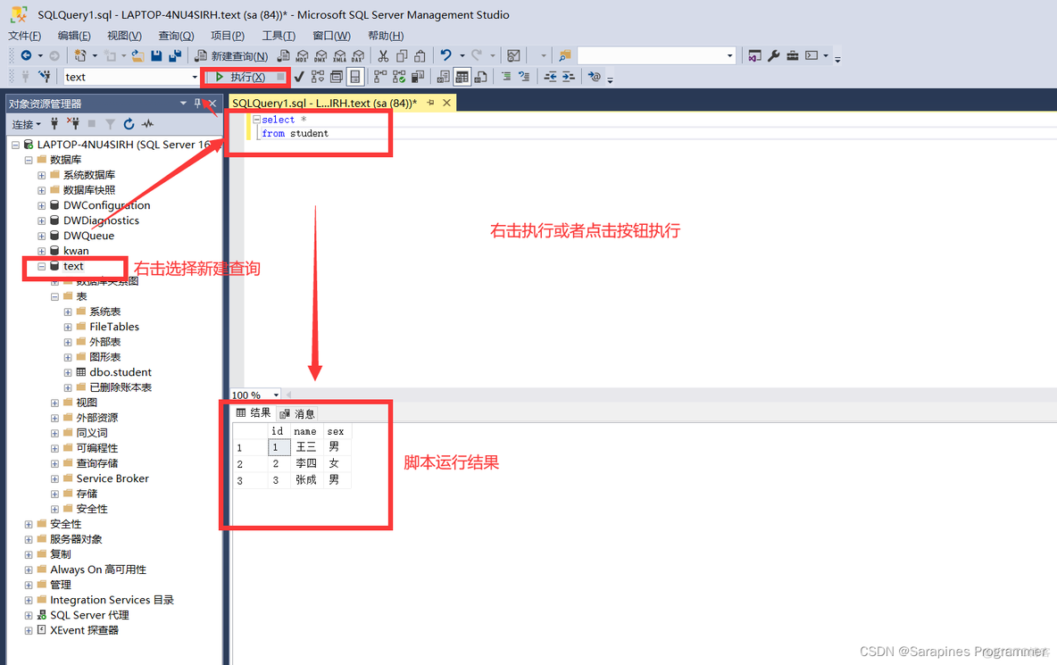 【SSMS快速上手】SQL巨擘：掌握SQL Server Management的终极秘籍！_SQL Management_09