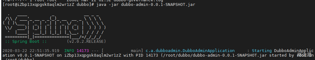 在项目里配置dubbo dubbo项目部署_java_44