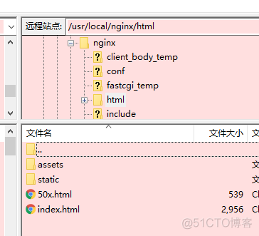 前后端分离nginx 配置 前后端分离不用nginx_运维