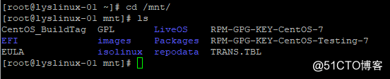 怎么把rpm包放到镜像 rpm怎么安装包_rpm包_05