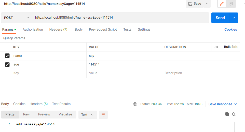 springboot 测试apollo连接 springboot怎么用postman测接口_字符串_22