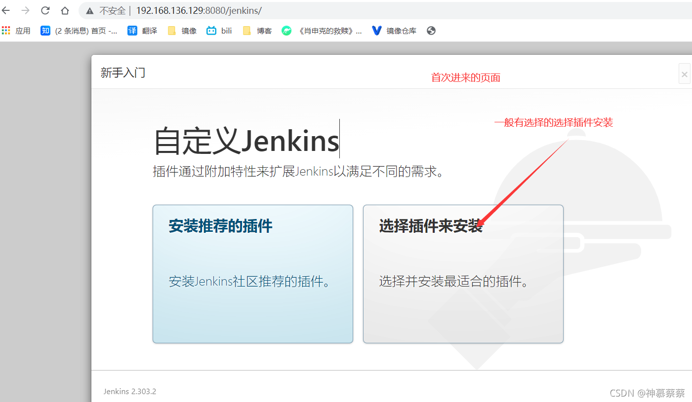 jenkins进度条 jenkins项目_项目发布_08