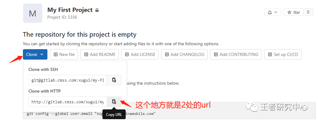 gitlab 设置克隆地址 gitlab git clone_git_11