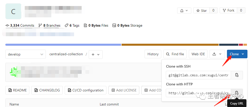 gitlab 设置克隆地址 gitlab git clone_gitlab 设置克隆地址_14