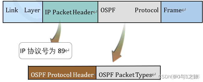 OSPF环网 ospf环路的原因_网络_02