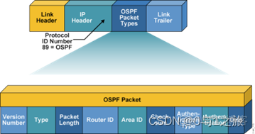 OSPF环网 ospf环路的原因_OSPF环网_13