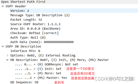 OSPF环网 ospf环路的原因_网络_16