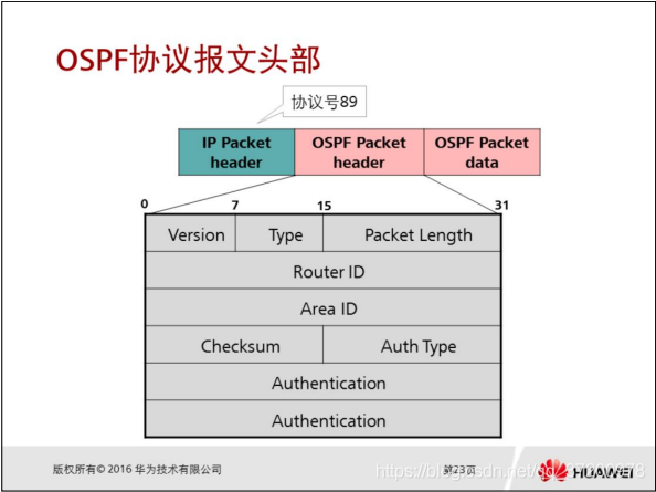 OSPF建链一直处于Exstart 简述ospf建立连接过程_链路_06