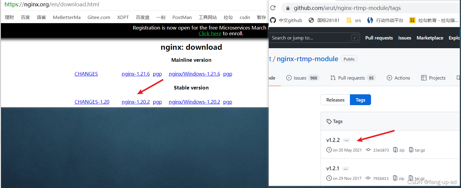 nginx rtmp协议包大小设置 nginx rtmp原理_nginx rtmp协议包大小设置