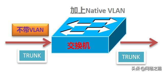 native vlan作用 native vlan与pvid_组网_02