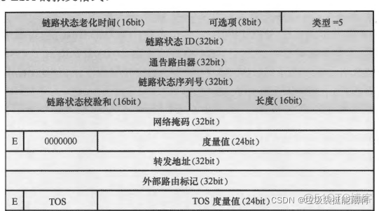 ospf lsa六种报文实验 ospf lsa报文详解_http_10