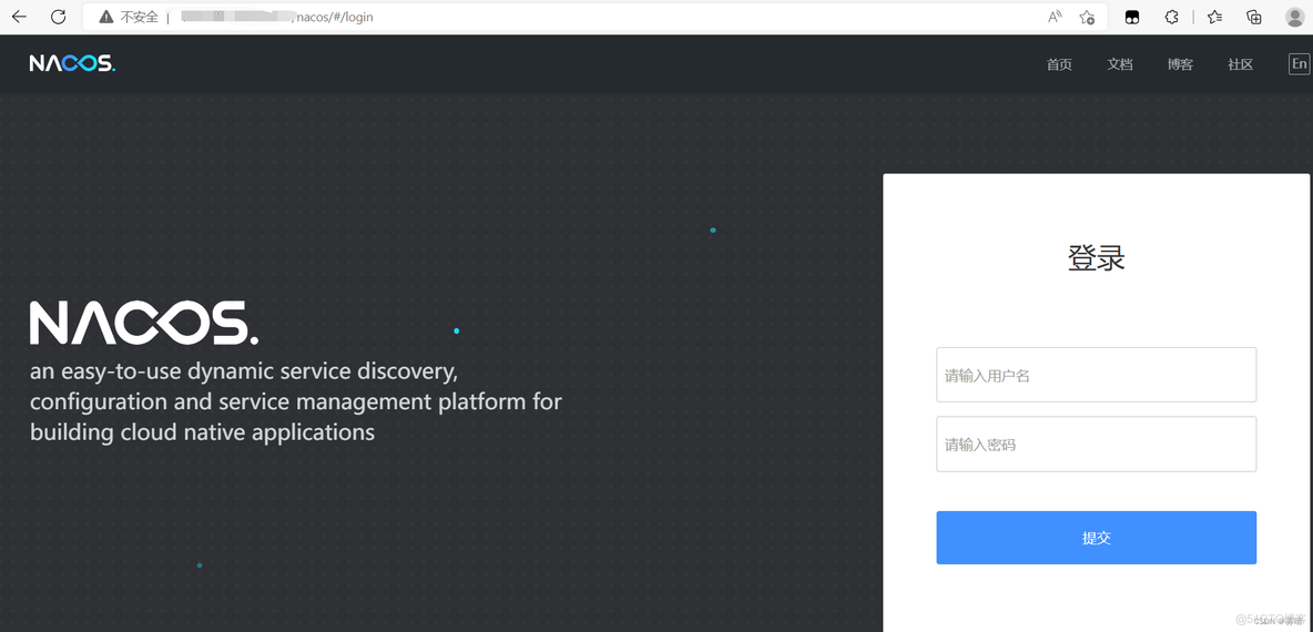 nacos集群搭建不用NGINX nacos如何部署集群_linux_05