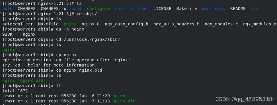 linux nginx 进程kill不掉 nginx进程管理_重定向_20