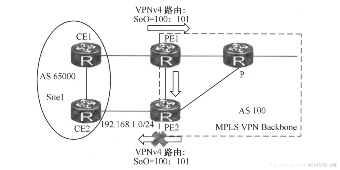 PE与CE之间BGP只能用直连吗 pe和ce之间支持的路由协议_VPN_04