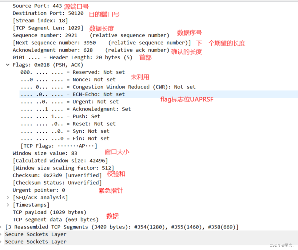 wireshark tcp流序号 wireshark tcp流追踪_服务器_05