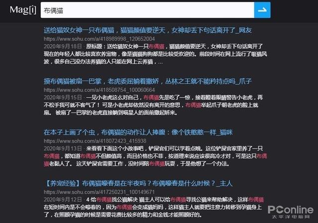 monogo的搜索引擎是什么 搜索引擎magi_monogo的搜索引擎是什么_07