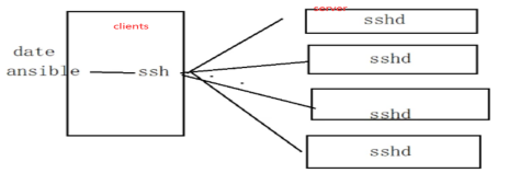 ansible自动化运维脚本 ansible自动化运维实例_服务器_07