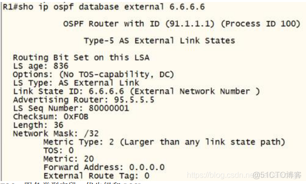 如何看懂ospf的LSA ospf的lsa类型和作用_LSA及特殊区域_06