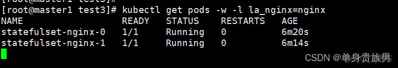 k8s StatefulSet deploy区别 k8s deployment statefulset_docker_07