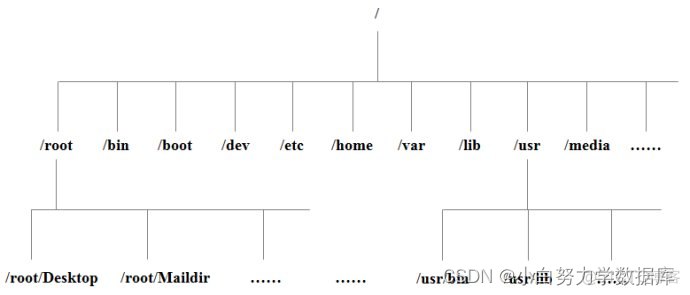 Linux 进入容器查看目录 linux怎么进去目录_linux