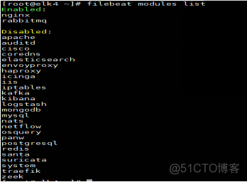 filebeat 不能modules nginx filebeat stopped_配置文件_07