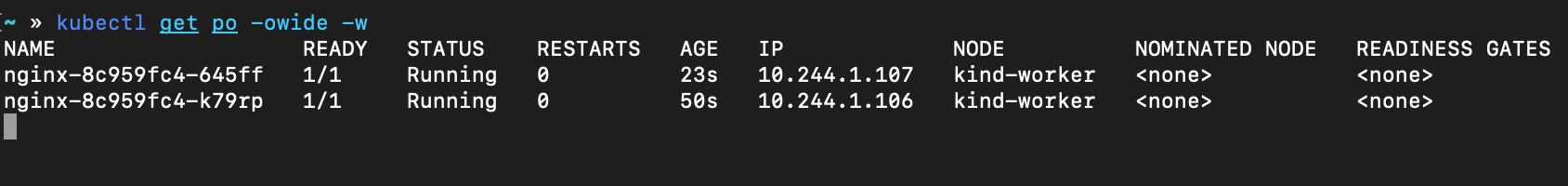 k8s初始化容器root密码 k8s restartpolicy_Pod_02