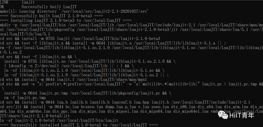 nginx lua 输出变量到文本 nginx lua module_源码包