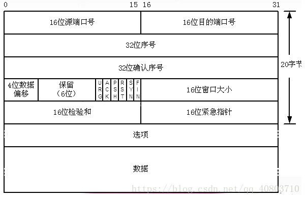 wireshark sn编号 wireshark包序号_Wireshark