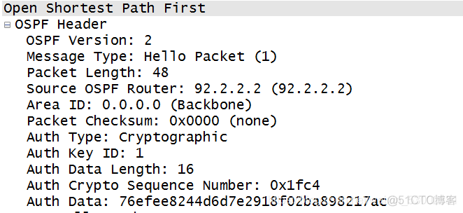 ospf怎样理解p2mp网络 ospf p2mp网络类型_OSPF_06