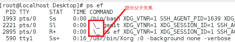 centos 查看pid线程数 命令 linux查看pid进程_优先级_08